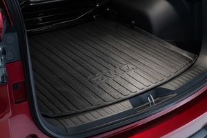 Default accessory image