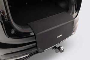 Default accessory image