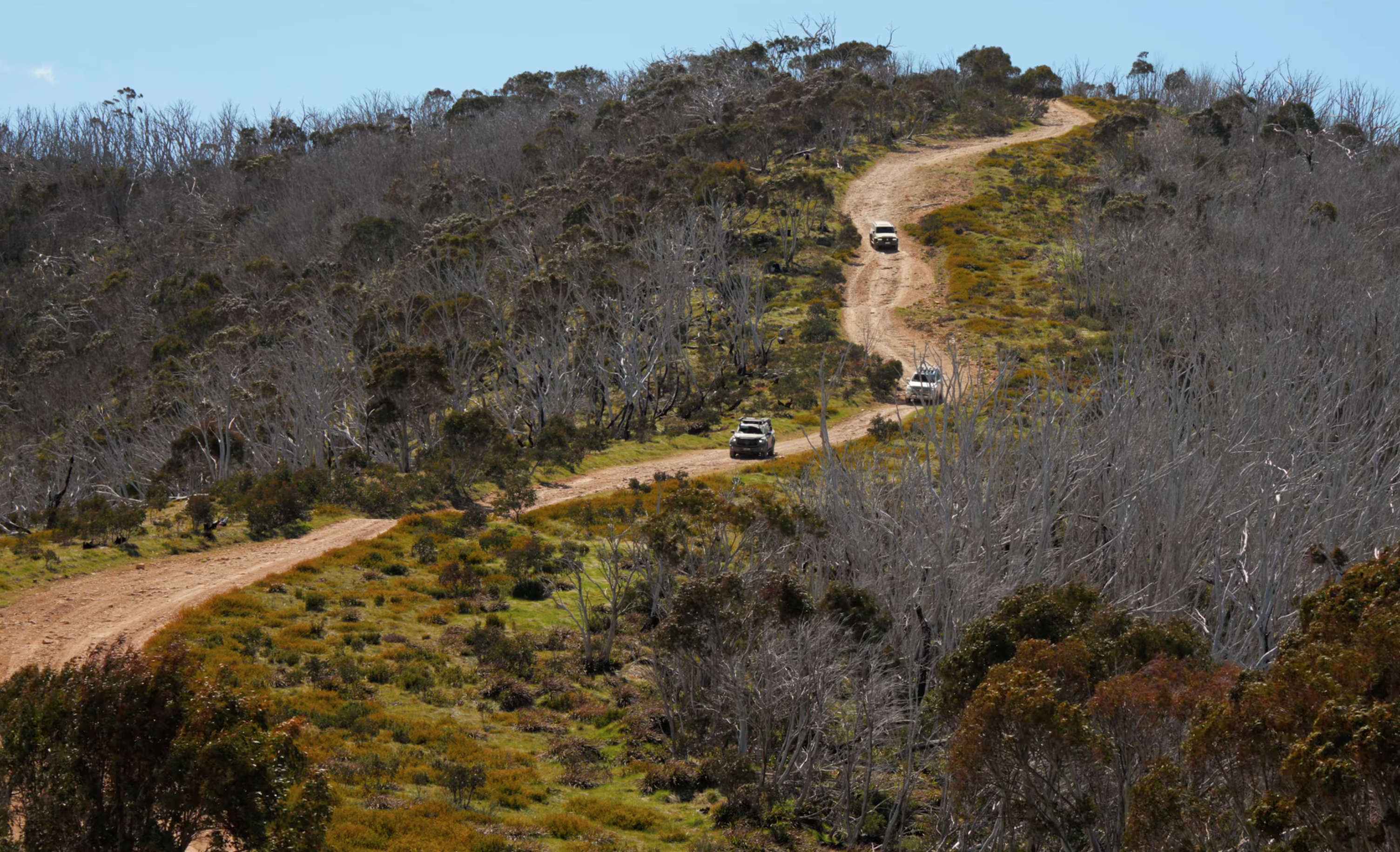 Three off-road vehicles drive along a winding dirt trail through a hilly landscape with sparse trees and patches of green vegetation under a clear sky.