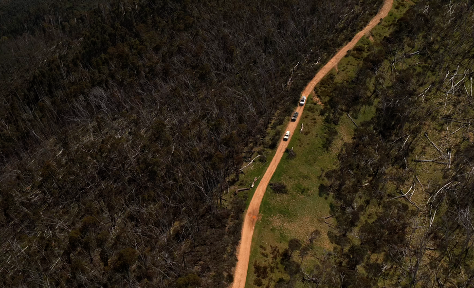 Aerial view of three cars driving on a narrow dirt road through a forest with dense, dark trees on one side and sparse, green vegetation on the other.