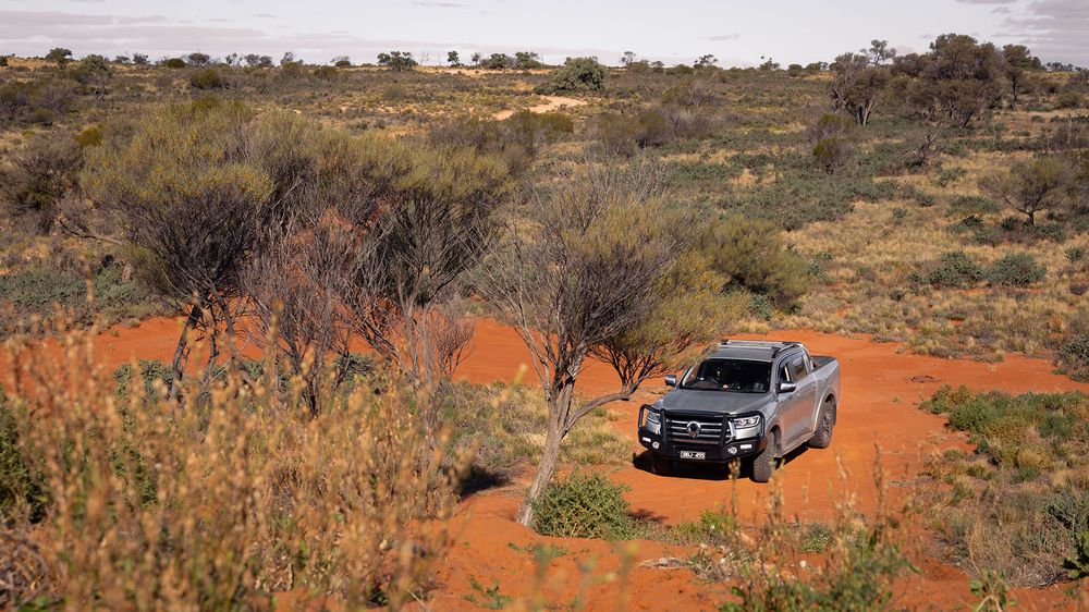 Slate Grey GWM Ute Cannon with a black bullbar parked on the red sand in the dessert with wild trees