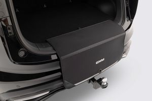 Default accessory image