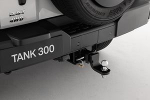 Default accessory image