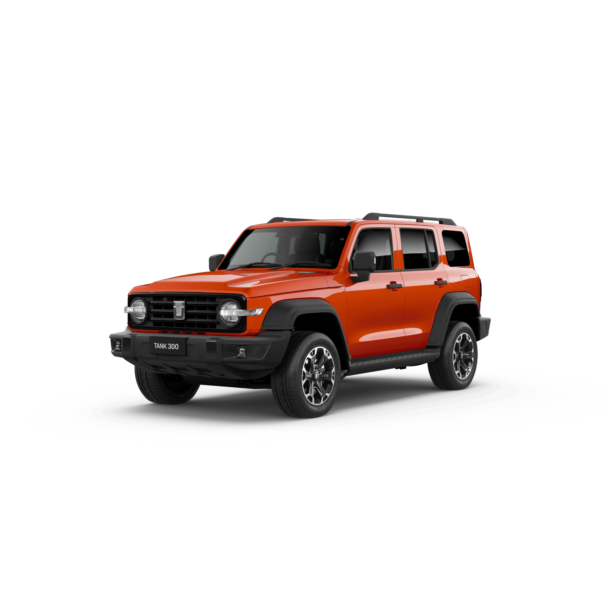 model image