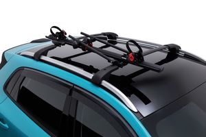 Default accessory image