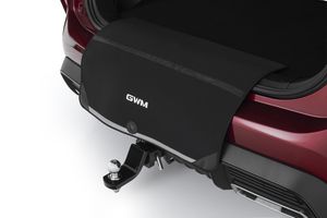 Default accessory image