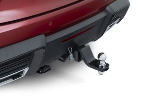 Default accessory image